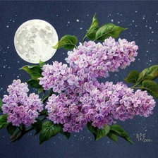 Cross stitch pattern: #1768205