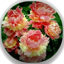 Cross stitch pattern: #1771843