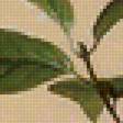 Preview of cross stitch pattern: #1772674