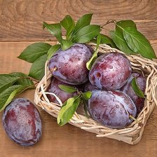 Cross stitch pattern: #1774653