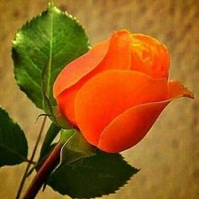 Cross stitch pattern: #1776673