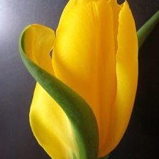 Cross stitch pattern: #1776678