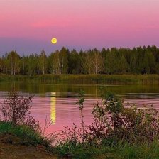 Cross stitch pattern: #1776680