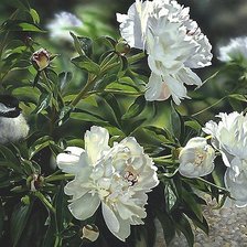 Cross stitch pattern: #1779208