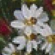 Preview of cross stitch pattern: #1781453