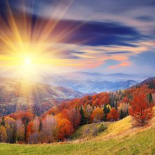 Cross stitch pattern: #1783294