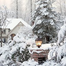 Cross stitch pattern: #1783407