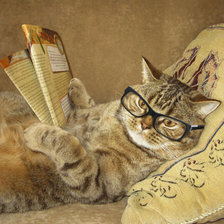 Cross stitch pattern: #1784741