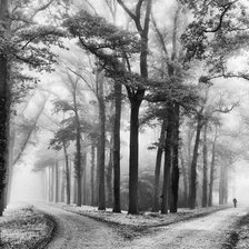 Cross stitch pattern: #1786398