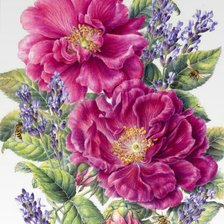 Cross stitch pattern: #1786673