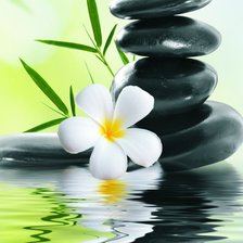 Cross stitch pattern: #1788825