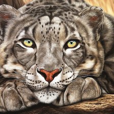 Cross stitch pattern: #1791281