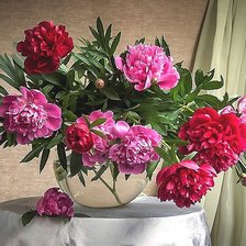 Cross stitch pattern: #1794240