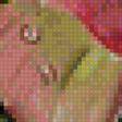 Preview of cross stitch pattern: #1797038