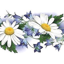 Cross stitch pattern: #1798474