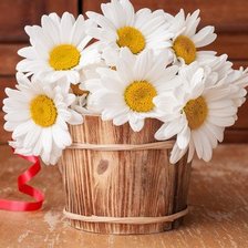 Cross stitch pattern: #1801532