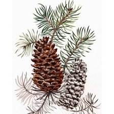 Cross stitch pattern: #1801879