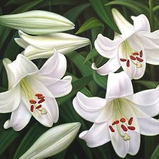 Cross stitch pattern: #1802599