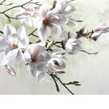 Cross stitch pattern: #1805100