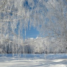 Cross stitch pattern: #1807176