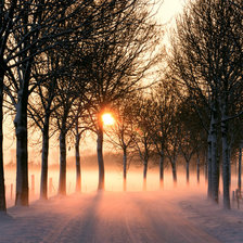 Cross stitch pattern: #1807177