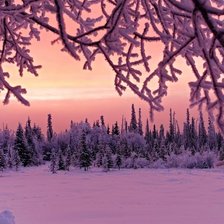 Cross stitch pattern: #1807186