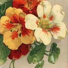 Cross stitch pattern: #1807264