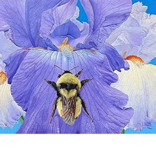 Cross stitch pattern: #1810047