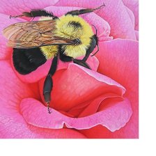 Cross stitch pattern: #1810050