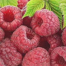 Cross stitch pattern: #1817982