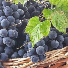 Cross stitch pattern: #1818690