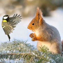 Cross stitch pattern: #1818894