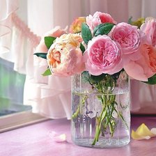 Cross stitch pattern: #1819947