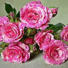 Cross stitch pattern: #1824314