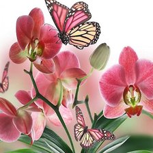 Cross stitch pattern: #1825231