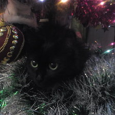 Cross stitch pattern: #1827320