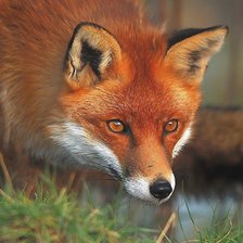 Cross stitch pattern: #1828961