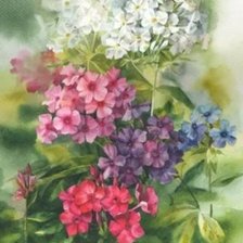 Cross stitch pattern: #1829581
