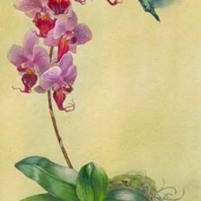Cross stitch pattern: #1829582