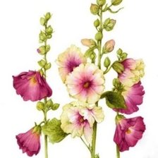 Cross stitch pattern: #1829584