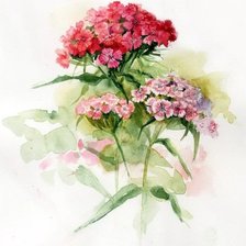 Cross stitch pattern: #1829595