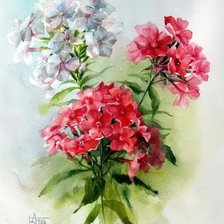 Cross stitch pattern: #1829596