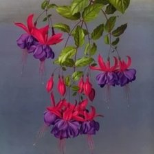 Cross stitch pattern: #1829603
