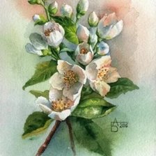 Cross stitch pattern: #1829606