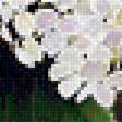 Preview of cross stitch pattern: #1830446