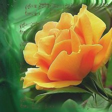 Cross stitch pattern: #1831793