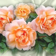 Cross stitch pattern: #1831796