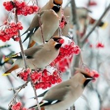 Cross stitch pattern: #1831969
