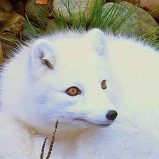 Cross stitch pattern: #1833085