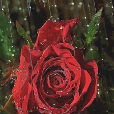 Cross stitch pattern: #1833149